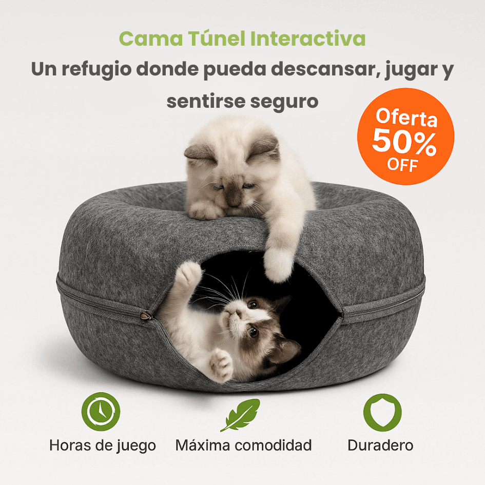 Cama Interactiva Para Gatos Cat Tunnel