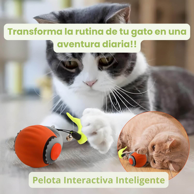Pelota Interactiva CAT GO