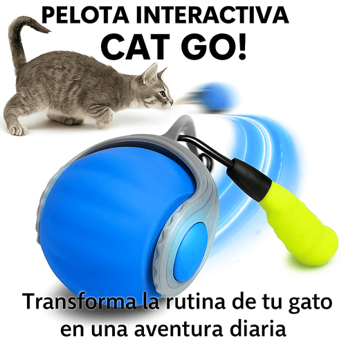 Pelota Interactiva CAT GO
