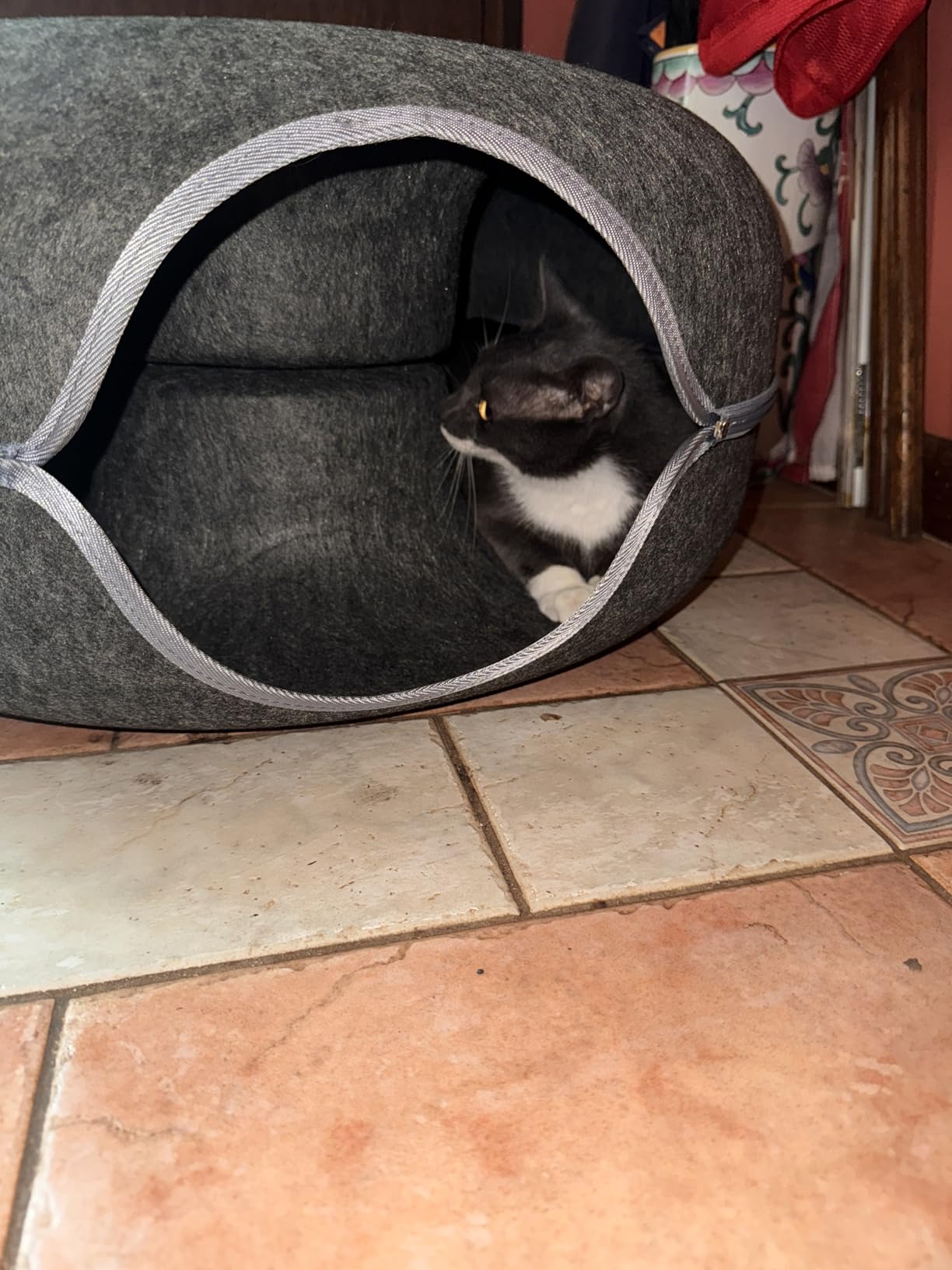 Review by Francisco J